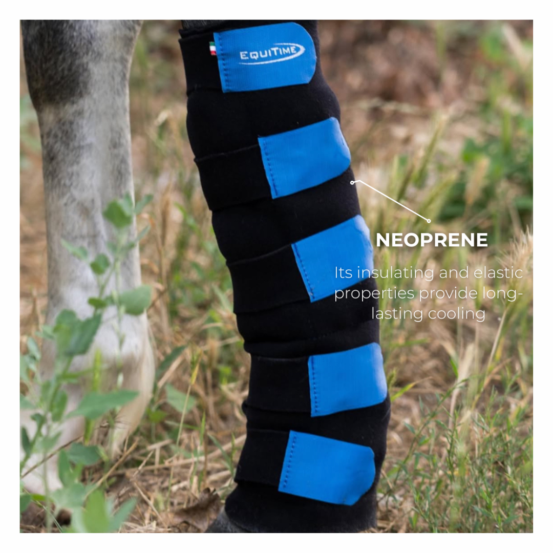 Protectores Resistencia  Equitime Ice boot 106,48 € Protectores Resistencia  Equitime Ice boot 106,48 €