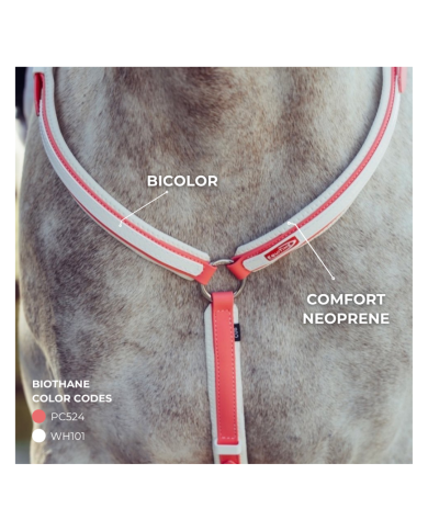 Equitime breastplate in Biothane Comfort Model