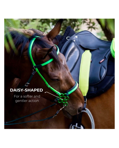 Hackamore Equitime Hackamore Modello Flower 127,04&nbsp;€