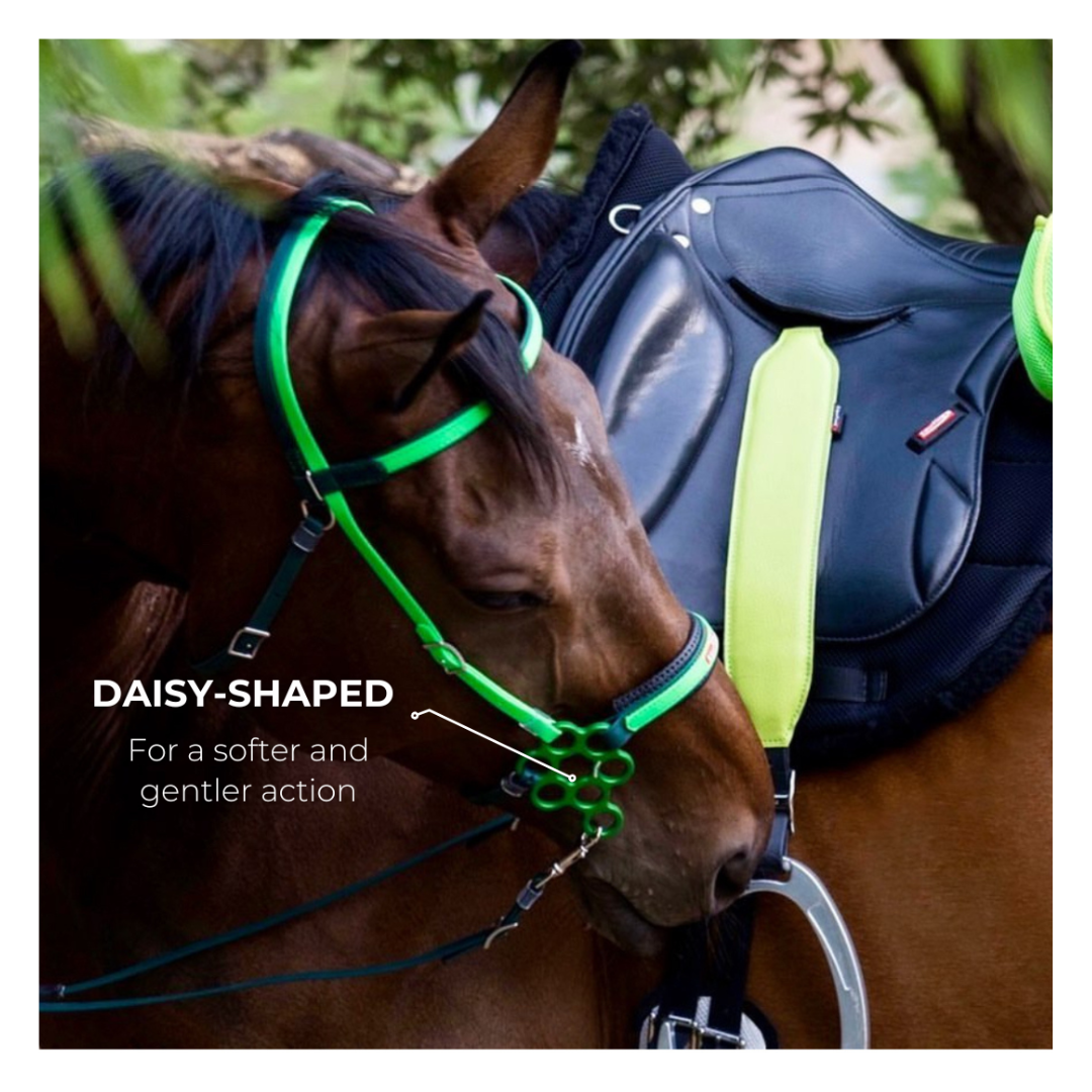 Hackamore  Equitime Flower Hackamore 127,04 € Hackamore  Equitime Flower Hackamore 127,04 €