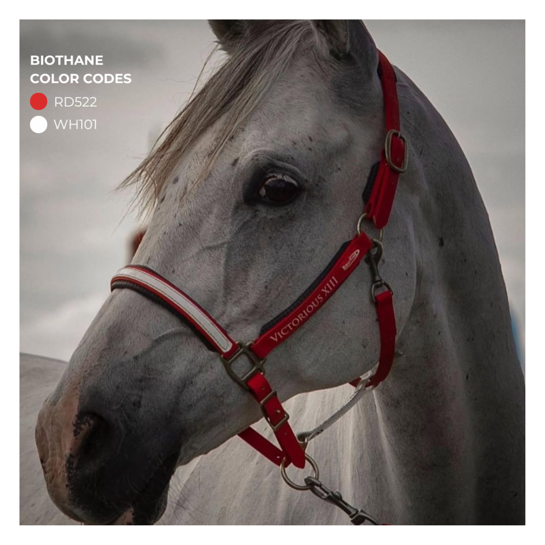 cabeção  Equitime cabeção Biothane 63,52 € cabeção  Equitime cabeção Biothane 63,52 €