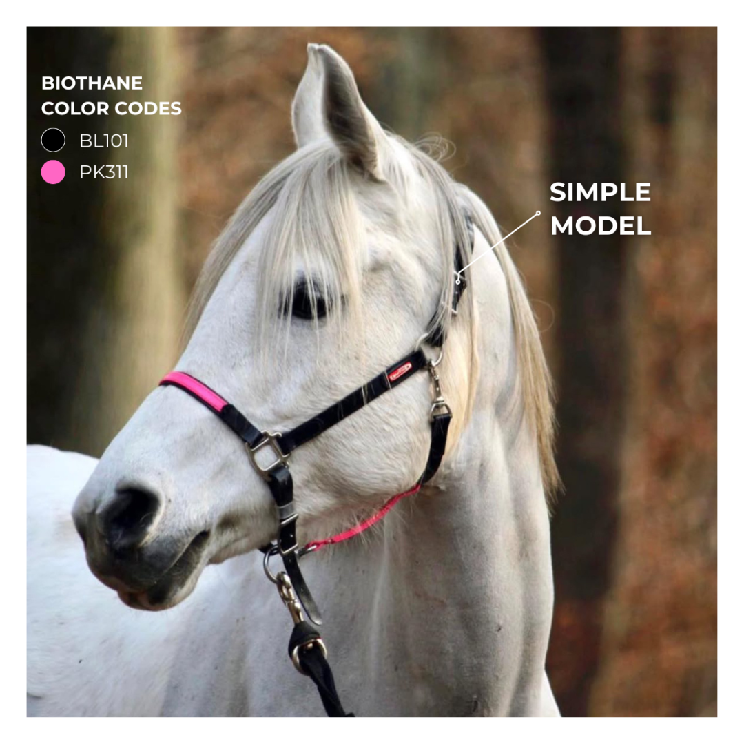 cabezada  cabezada Equitime en Biothane 63,52 € cabezada  cabezada Equitime en Biothane 63,52 €