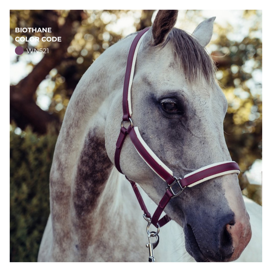 halter  Equitime halter in Biothane 63,52 € halter  Equitime halter in Biothane 63,52 €