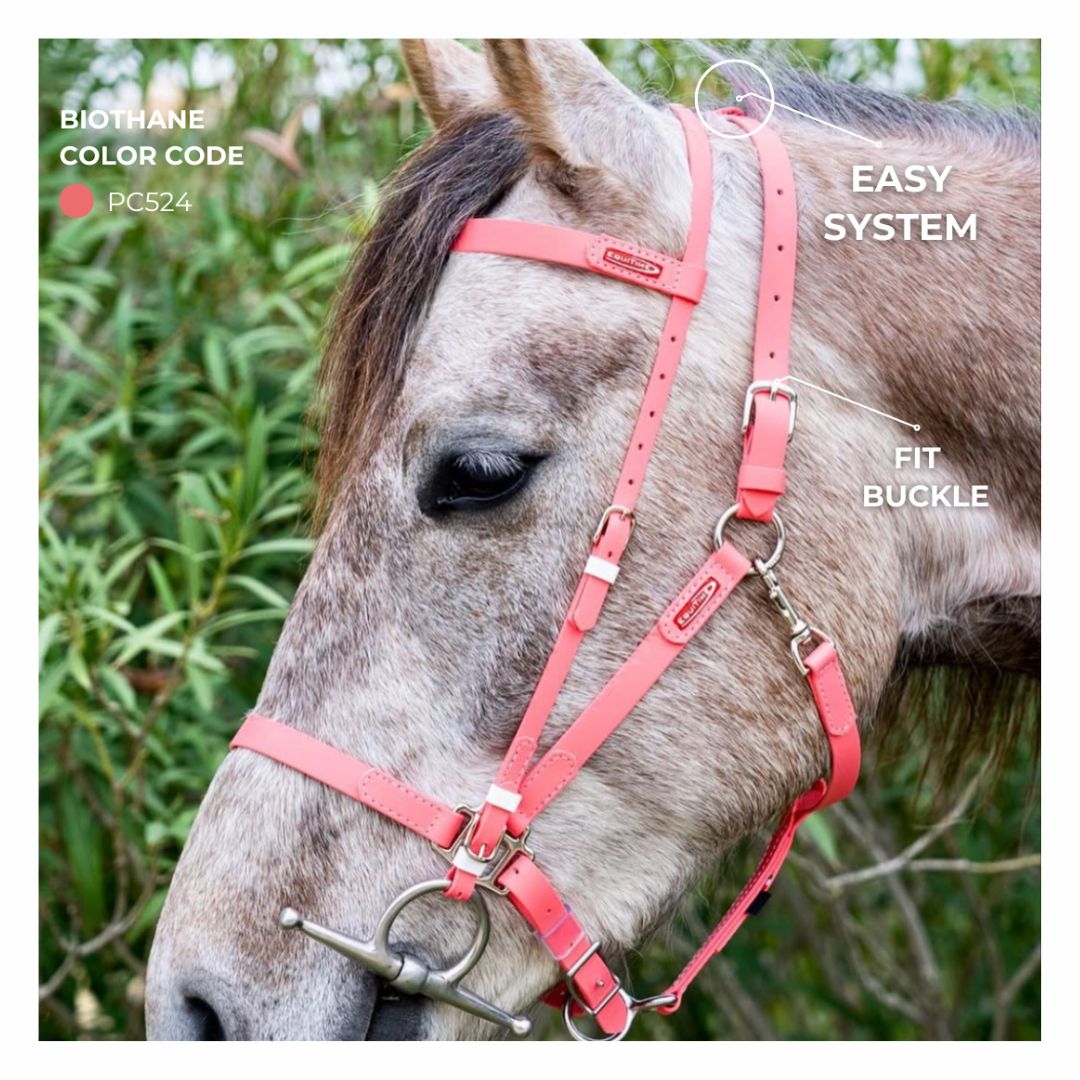 cabezadas Modelo Easy Equitime cabezadas Modelo Easy Equitime