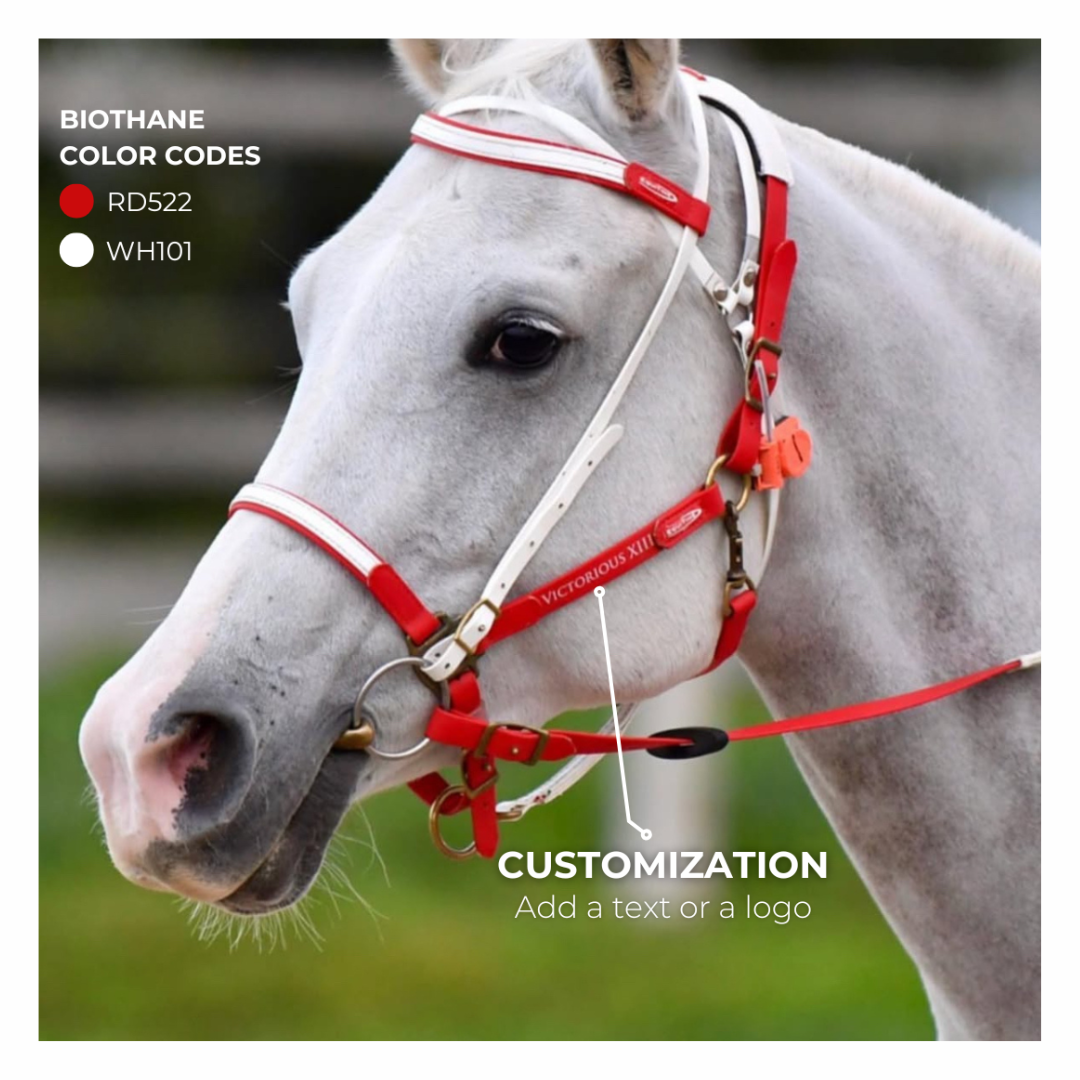 Equitime Easy Model bridle Equitime Easy Model bridle