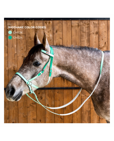 Testiere  Equitime Testiera Modello Bitless 130,33 € Testiere  Equitime Testiera Modello Bitless 130,33 €