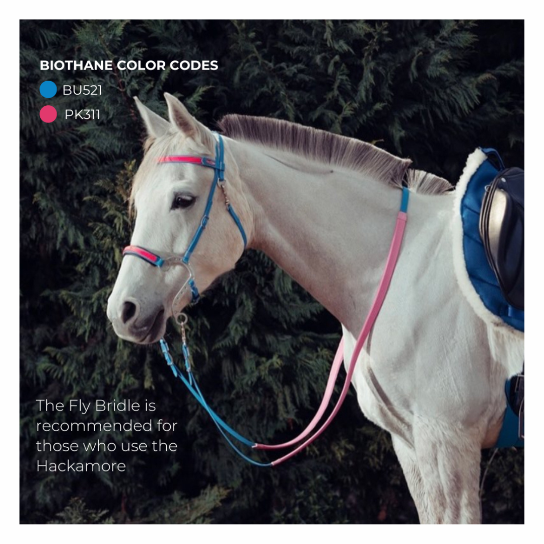 Testiere  Equitime Testiera Modello Fly 53,28 € Testiere  Equitime Testiera Modello Fly 53,28 €