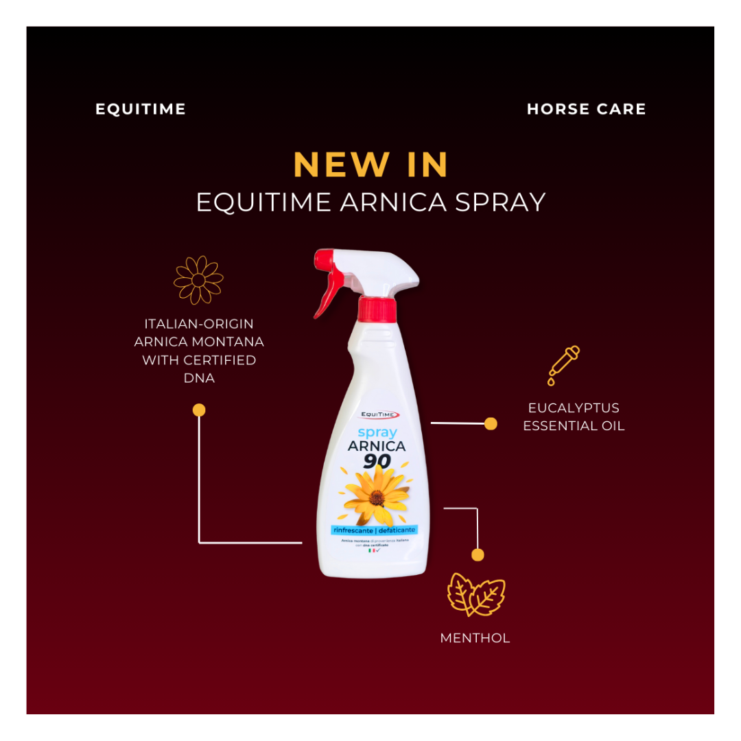 Horse & Leather Care  EQUITIME ARNICA 90 Spray refrescante antifatiga 500ml 12,29 € Horse & Leather Care  EQUITIME ARNICA 90 Spray refrescante antifatiga 500ml 12,29 €