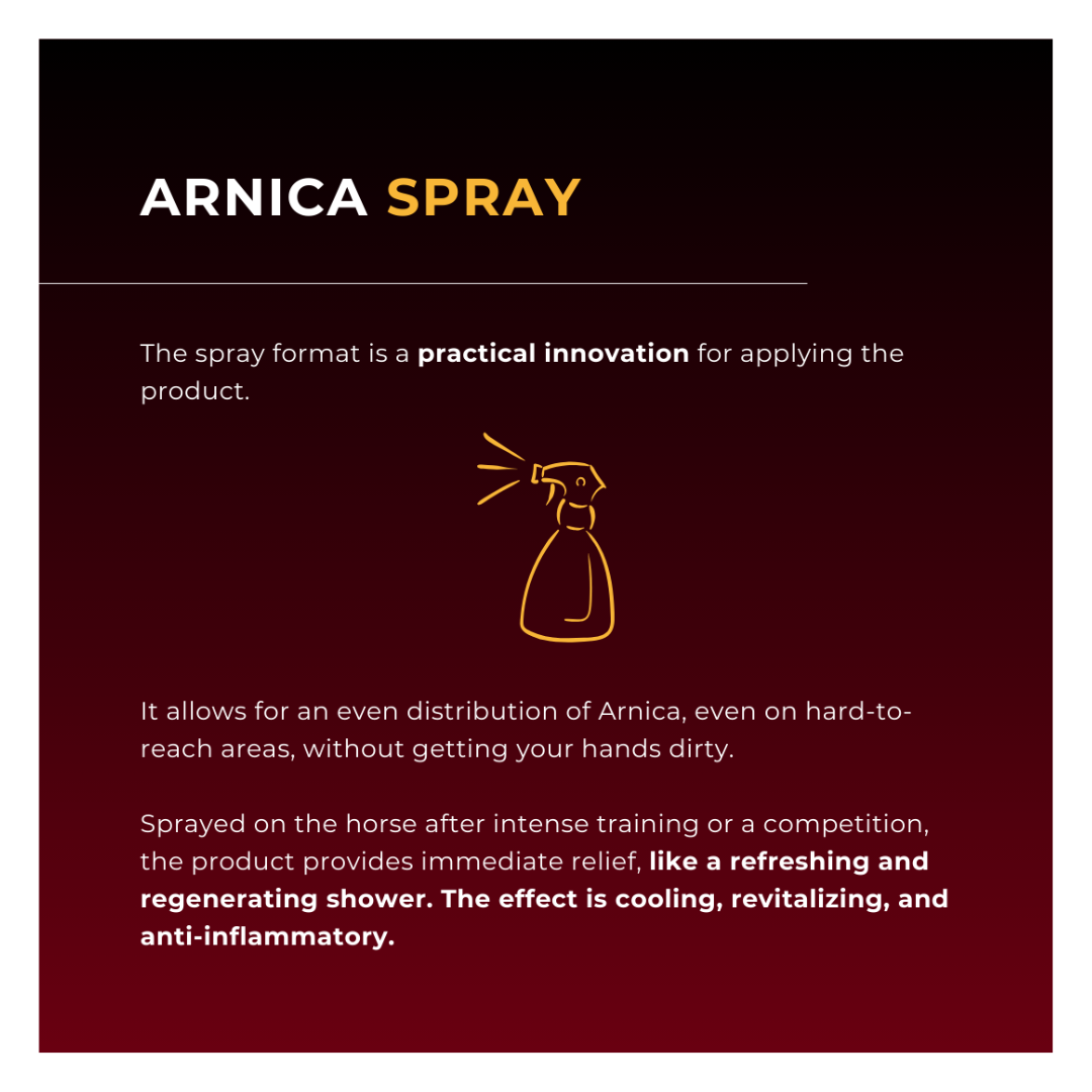 Horse & Leather Care EQUITIME ARNICA 90 Refreshing anti-fatigue spray 500ml 12,29&nbsp;€