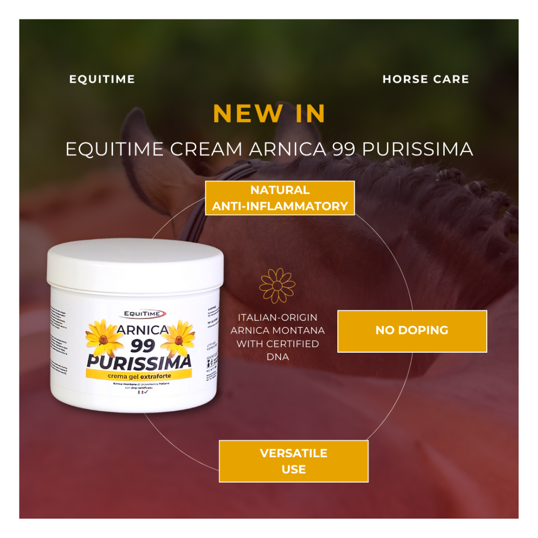 Horse & Leather Care  EQUITIME creme ARNICA 99 PURE gel para cavalos para uso humano 500ml 24,58 € Horse & Leather Care  EQUITIME creme ARNICA 99 PURE gel para cavalos para uso humano 500ml 24,58 €