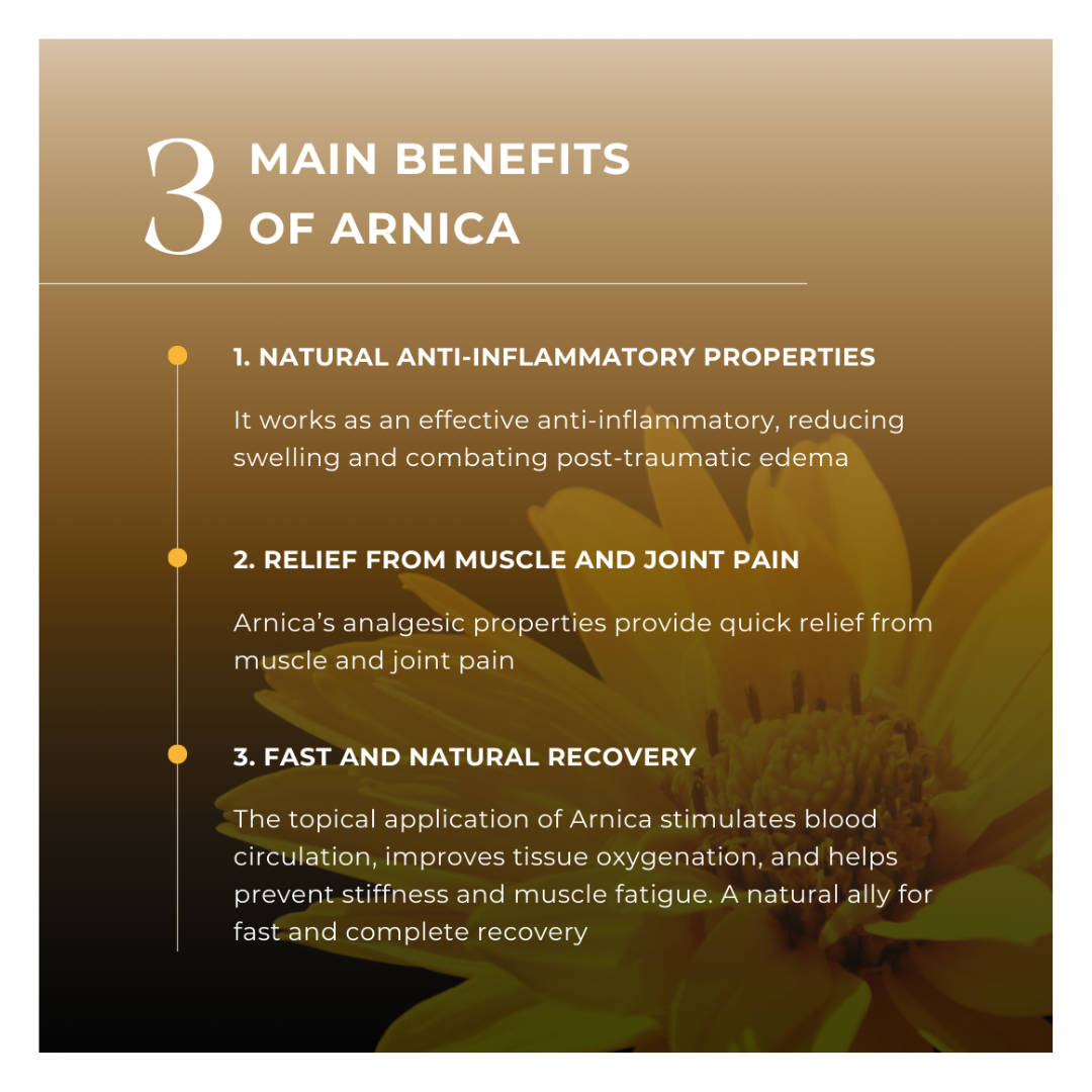 Horse & Leather Care EQUITIME cream ARNICA 99 PURISSIMA gel horses and human 500ml 24,58&nbsp;€