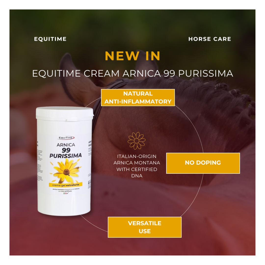 Horse & Leather Care  EQUITIME crema ARNICA 99 gel PURO caballos uso humano 1 kg 40,98 € Horse & Leather Care  EQUITIME crema ARNICA 99 gel PURO caballos uso humano 1 kg 40,98 €