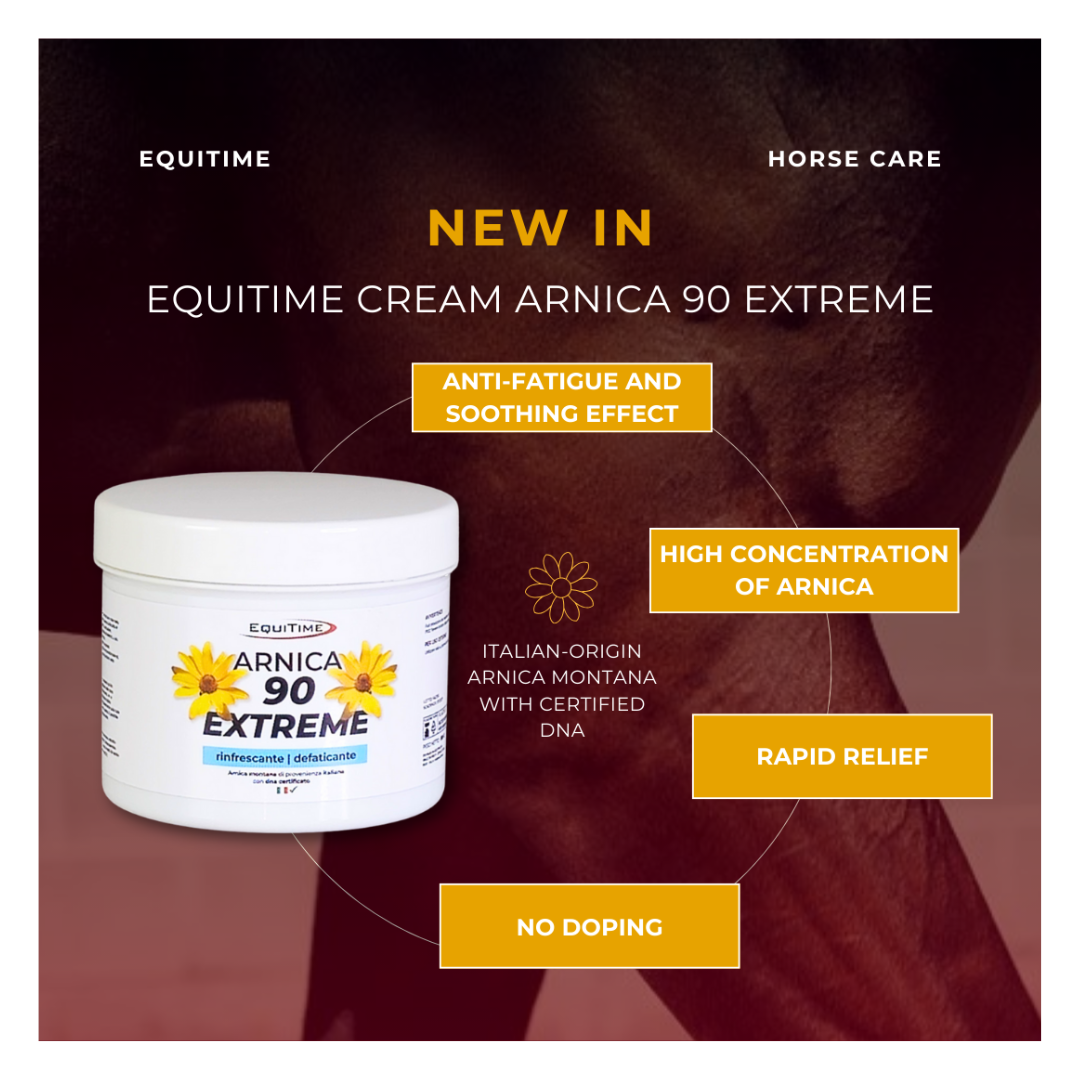 Horse & Leather Care  EQUITIME crema ARNICA 90 EXTREME gel caballos uso humano 500ml 24,58 € Horse & Leather Care  EQUITIME crema ARNICA 90 EXTREME gel caballos uso humano 500ml 24,58 €