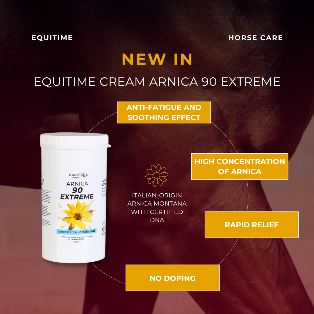 Horse & Leather Care  EQUITIME creme ARNICA 90 EXTREME gel cavalos uso humano 1 kg 40,98 € Horse & Leather Care  EQUITIME creme ARNICA 90 EXTREME gel cavalos uso humano 1 kg 40,98 €
