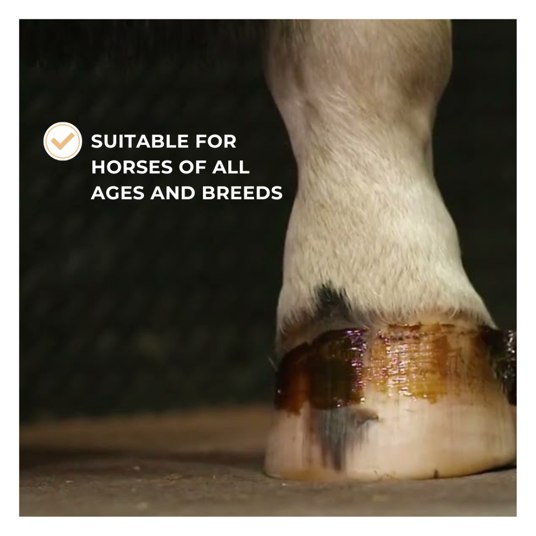 Horse & Leather Care EQUITIME Shea Butter Hoof Grease 500 g 14,75&nbsp;€