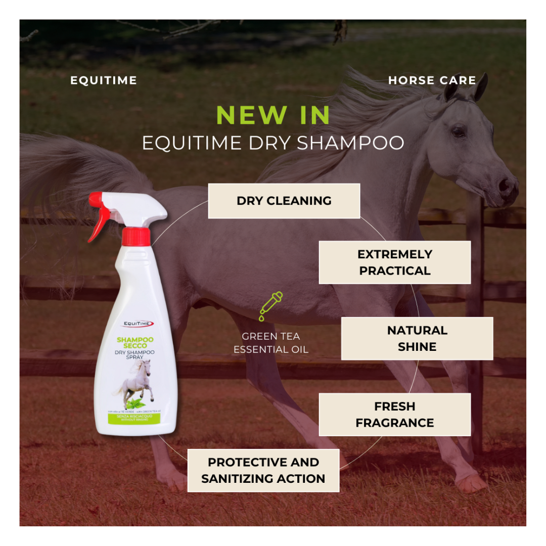 Horse & Leather Care  EQUITIME Equitime Shampoo a Secco – Pulizia rapida per il manto del cavallo 500ml 12,29 €