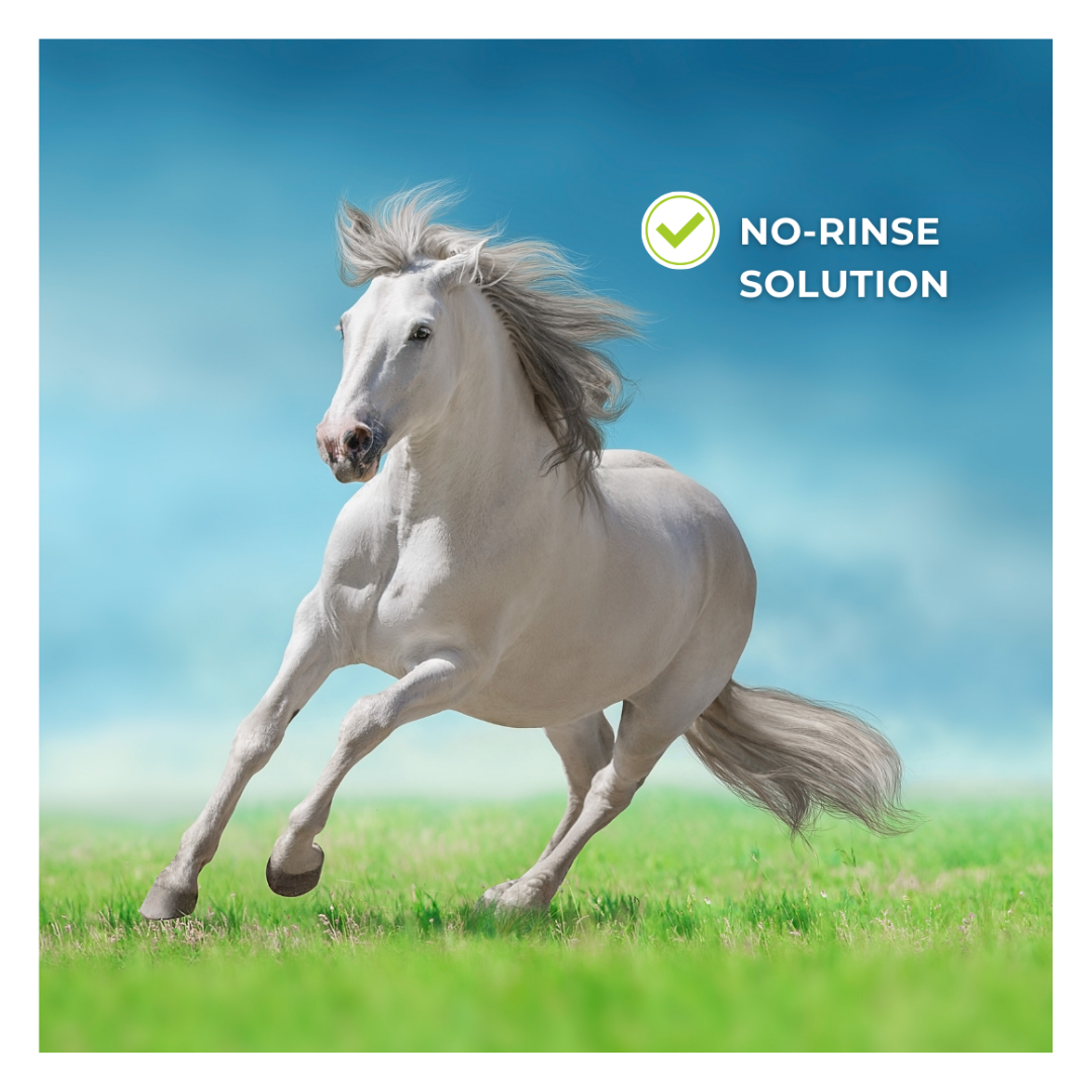 Horse & Leather Care  EQUITIME Equitime Dry Shampoo – Quick cleansing for your horse's coat 500ml 12,29 €