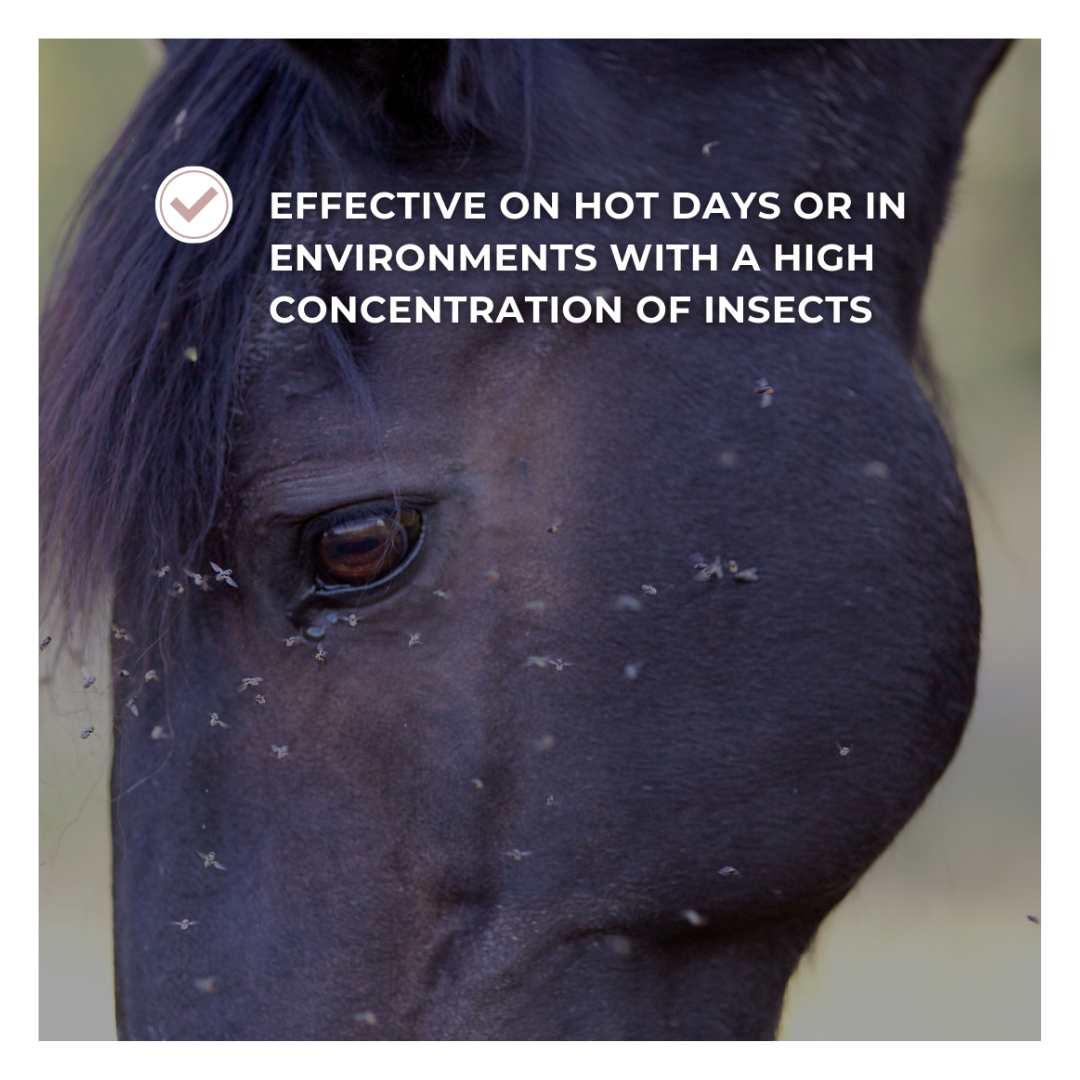 Horse & Leather Care EQUITIME Equitime Lozione Barriera Insetti - citronella geranio e neem 500ml 12,29&nbsp;€