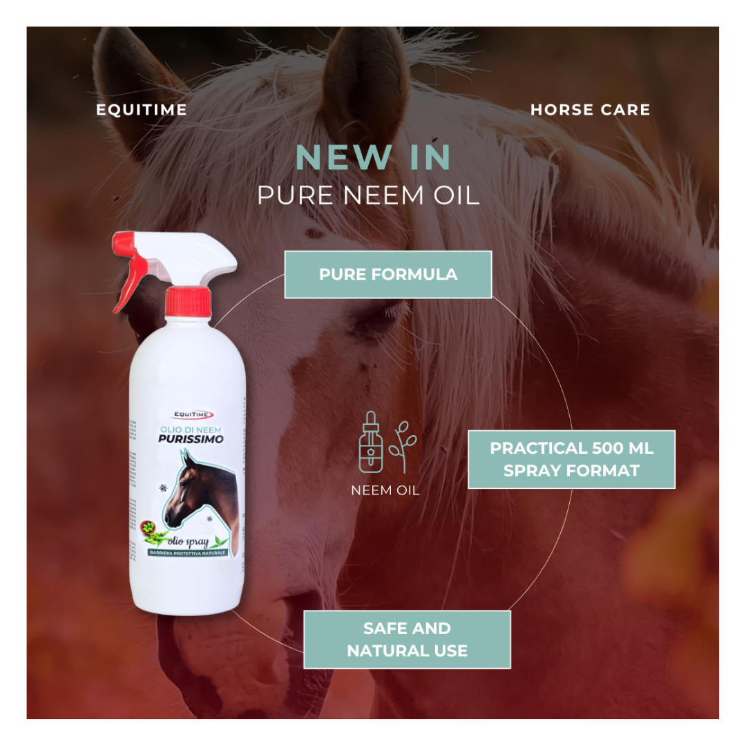 Horse & Leather Care  EQUITIME Pure Neem Oil – Proteção natural contra insetos e parasitas 1000ml 20,48 € Horse & Leather Care  EQUITIME Pure Neem Oil – Proteção natural contra insetos e parasitas 1000ml 20,48 €