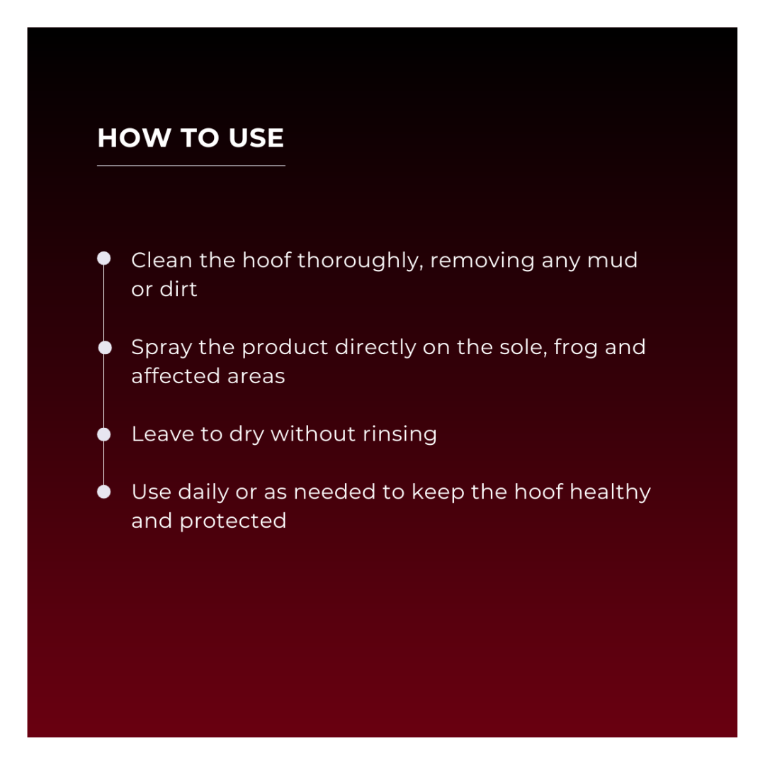 Horse & Leather Care  EQUITIME Villate Spray – Solution de Cuivre pour le soin des sabots 500ml 18,84 € Horse & Leather Care  EQUITIME Villate Spray – Solution de Cuivre pour le soin des sabots 500ml 18,84 €