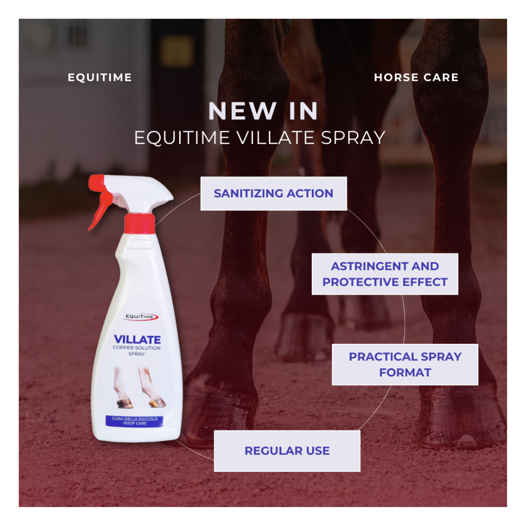Horse & Leather Care  EQUITIME Villate Spray – Solução de cobre para cuidado de cascos 500ml 18,84 € Horse & Leather Care  EQUITIME Villate Spray – Solução de cobre para cuidado de cascos 500ml 18,84 €