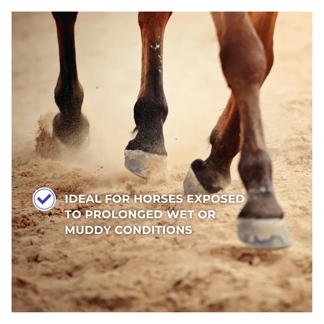 Horse & Leather Care EQUITIME Villate Spray – Soluzione rameica per la cura dello zoccolo 500ml 18,84&nbsp;€