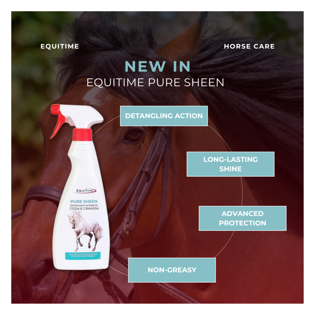 Horse & Leather Care  EQUITIME Pure Sheen – Spray desembaraçante e nutritivo para cauda, crina e pelagem 500ml 12,29 € Horse & Leather Care  EQUITIME Pure Sheen – Spray desembaraçante e nutritivo para cauda, crina e pelagem 500ml 12,29 €