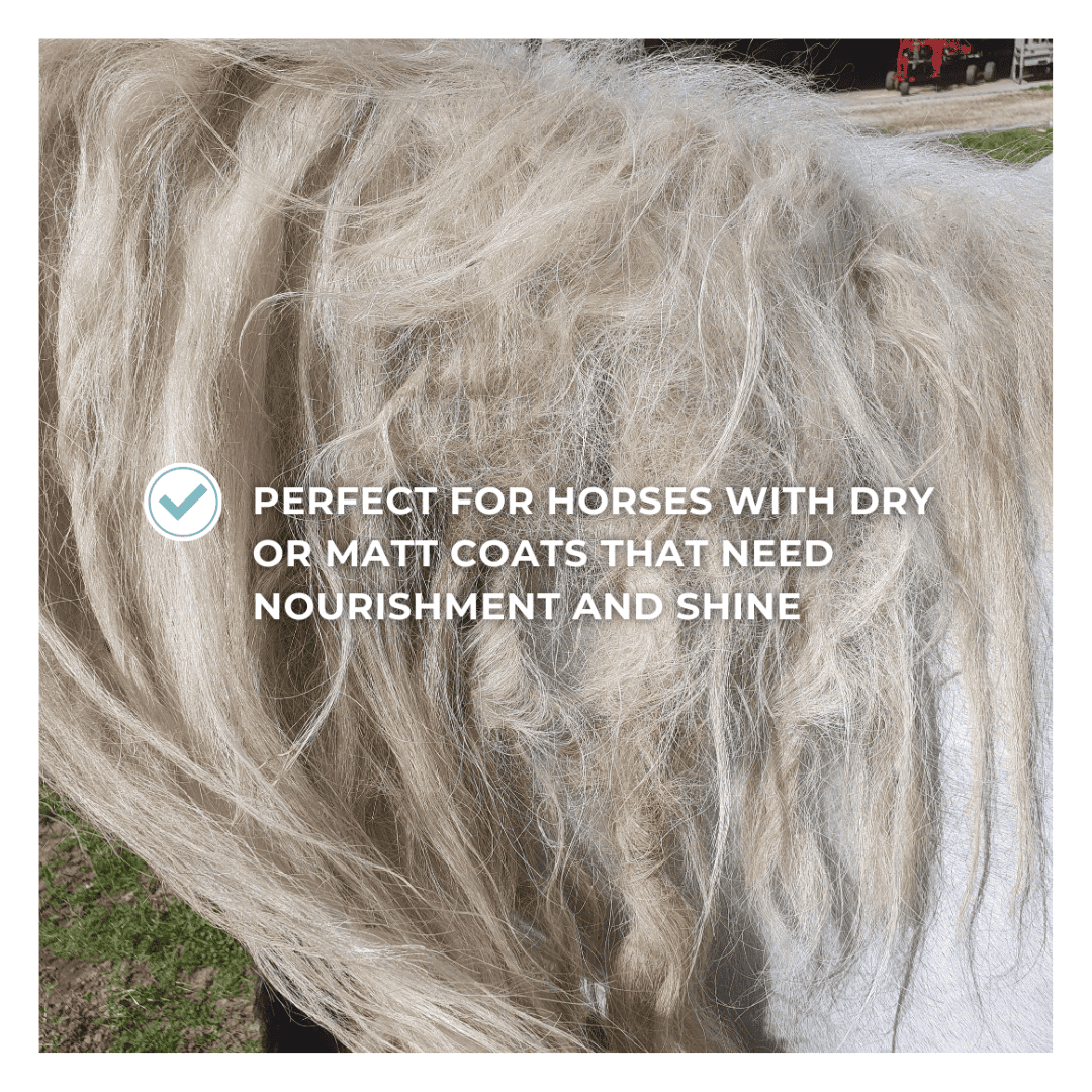 Horse & Leather Care  EQUITIME Pure Sheen – Detangling and nourishing spray for tail, mane and coat 500ml 12,29 €