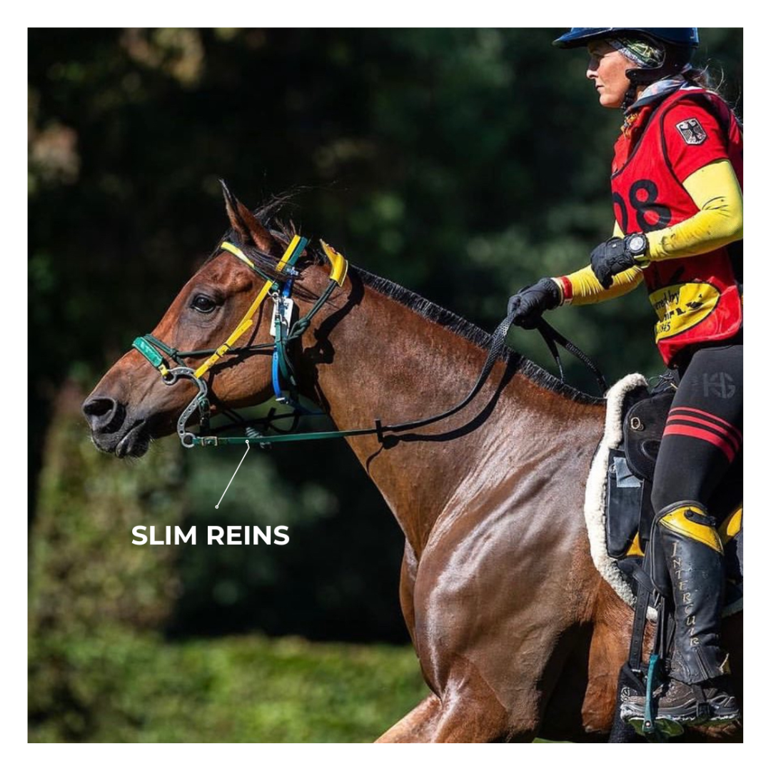 Redini  Equitime Redini in Biothane 67,20 € Redini  Equitime Redini in Biothane 67,20 €