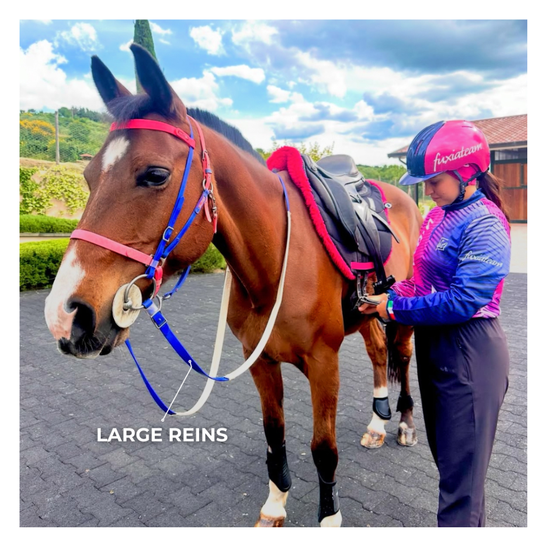 Redini  Equitime Redini in Biothane 67,20 € Redini  Equitime Redini in Biothane 67,20 €