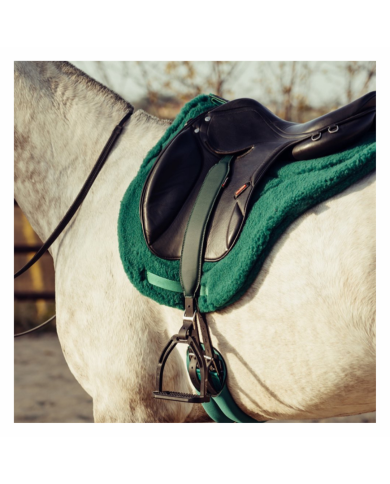 Equitime mono Stirrups straps Comfort