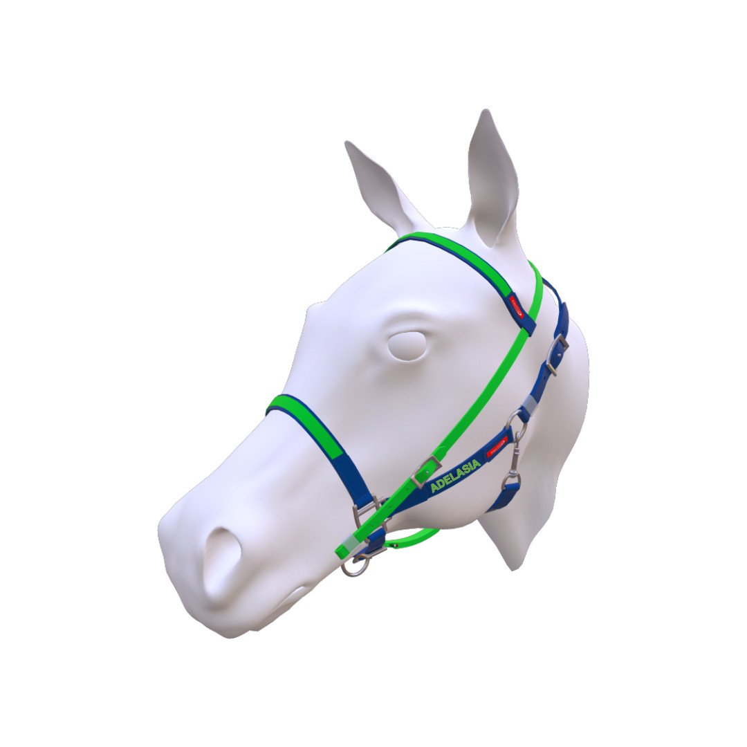 Maison Testiera Easy ADELASIA team 98,36&nbsp;€