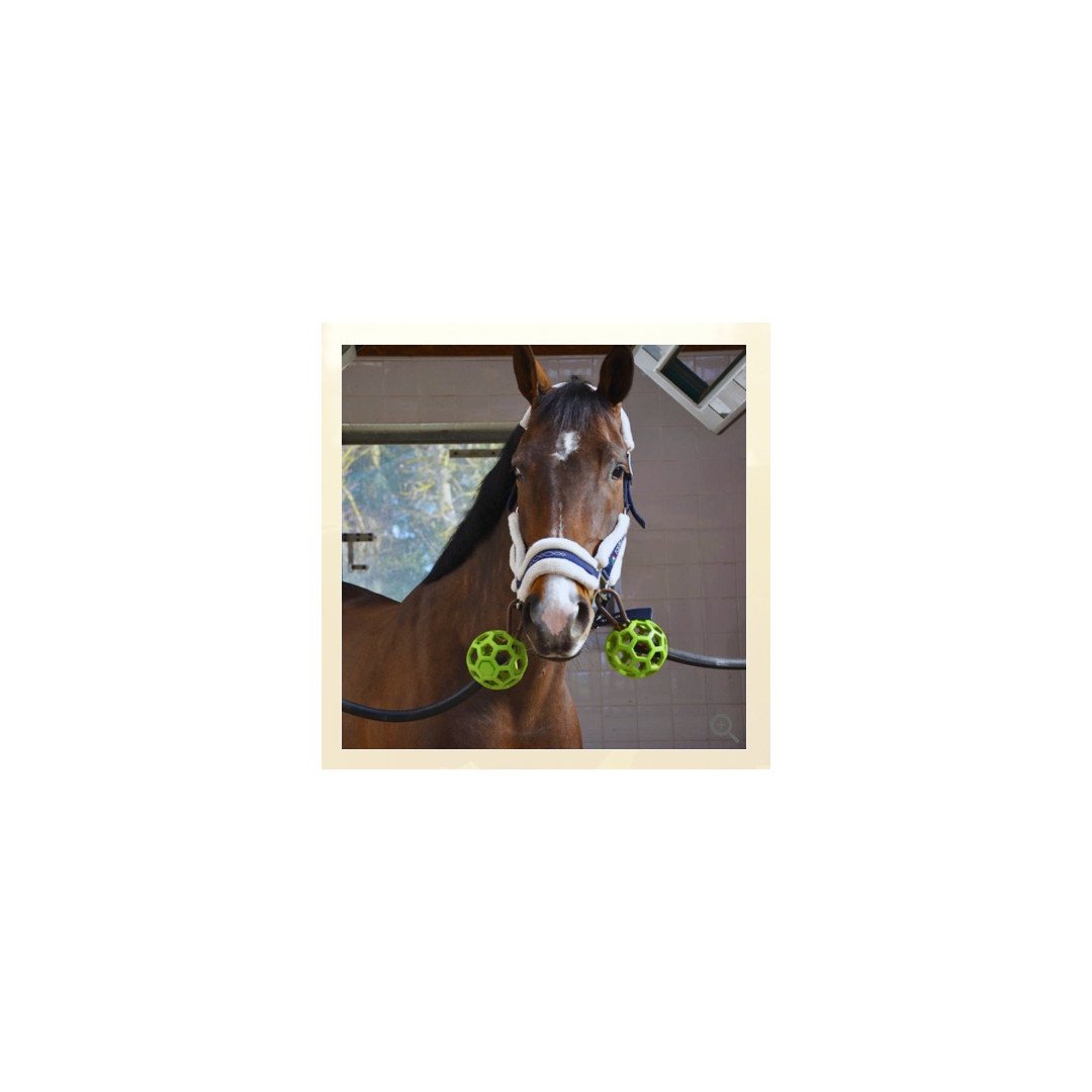 Accessoires et pièces de rechange  Ballon de protection pour Lunghina 2 vents 13,93 €