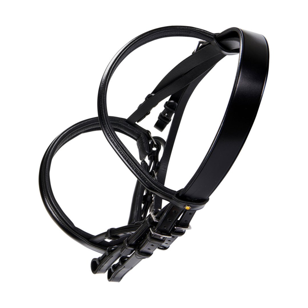 BRIDE DE DRESSAGE EN CUIR