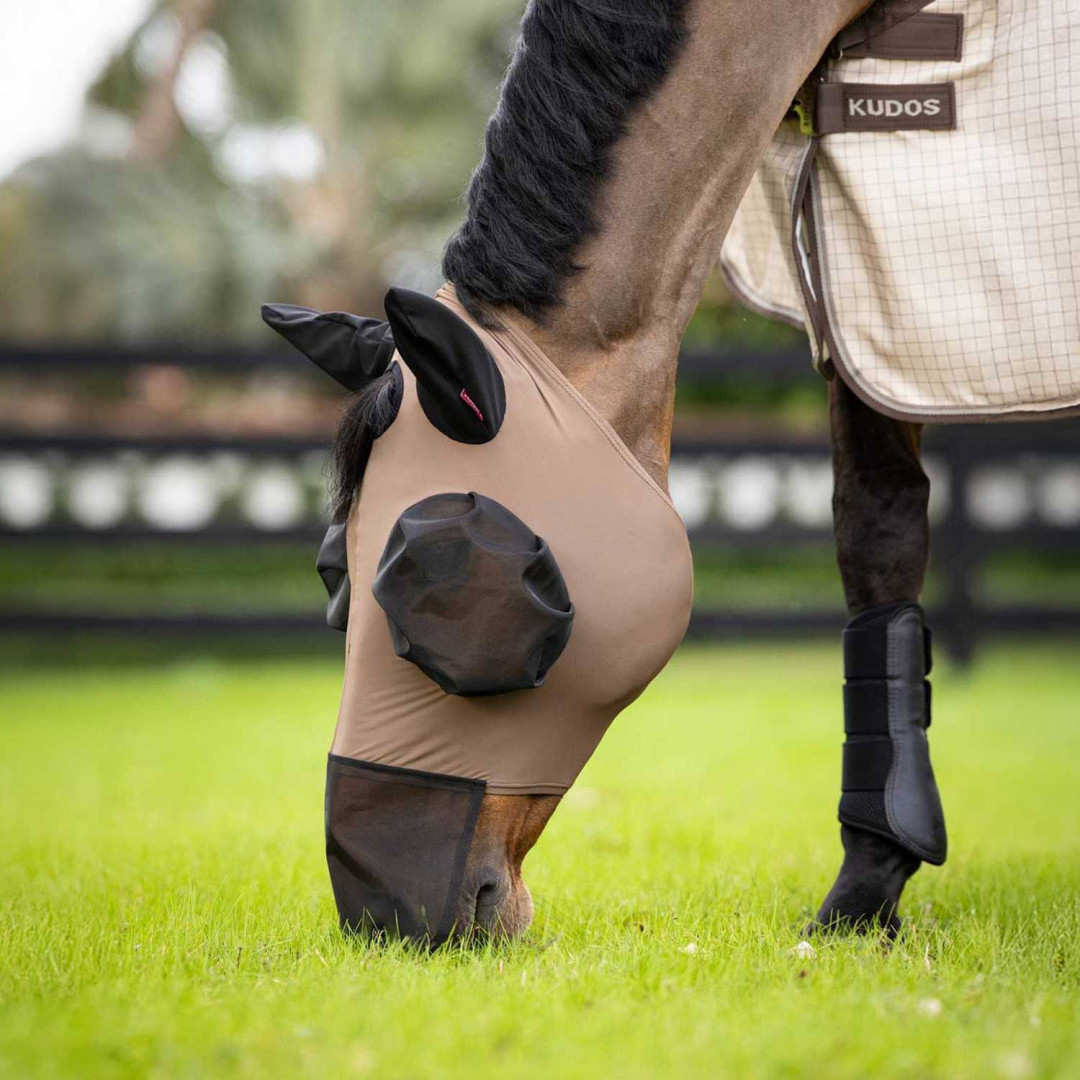 cópia da máscara Shires Fly com nariz cópia da máscara Shires Fly com nariz