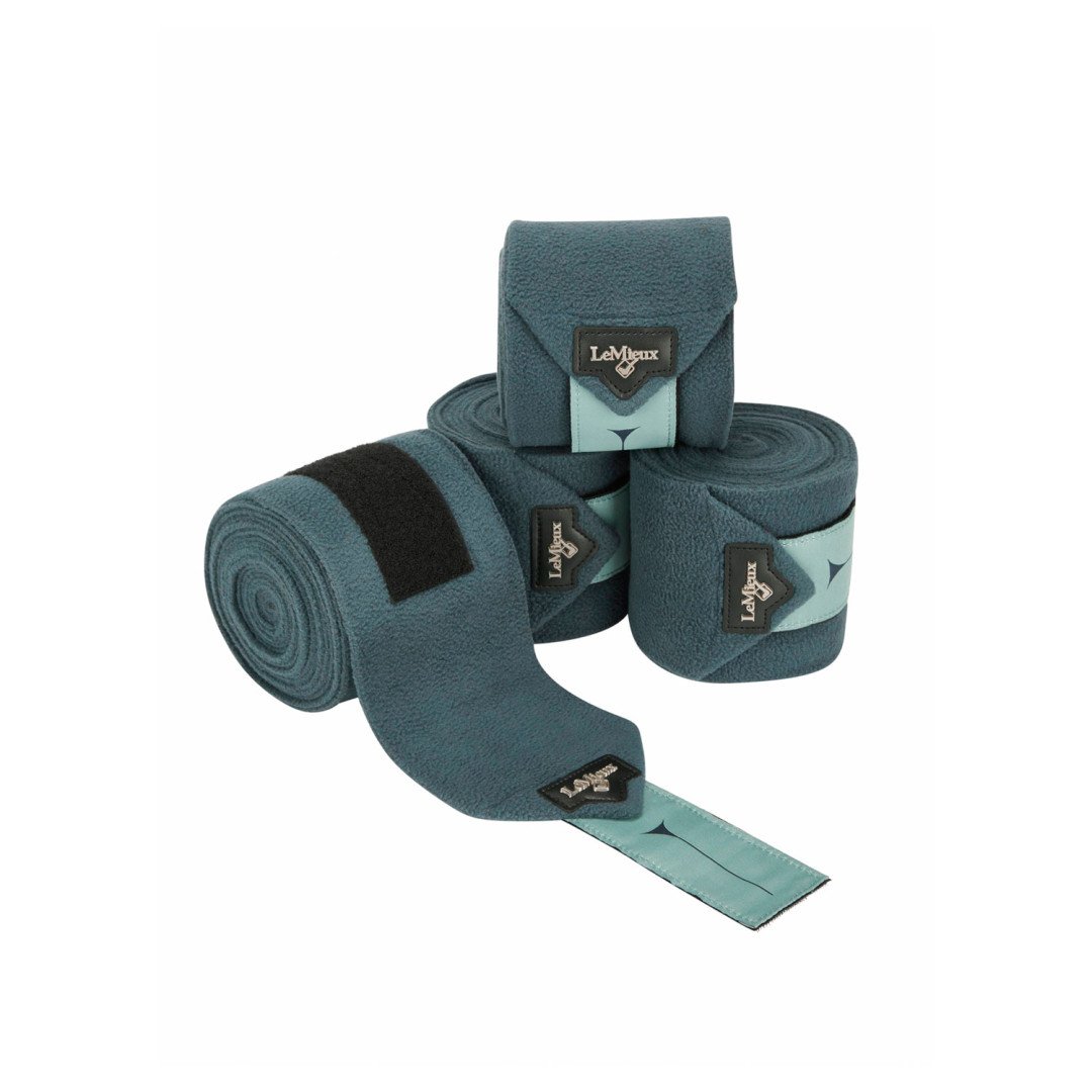 BANDAGENS LOIRE POLO PETRÓLEO