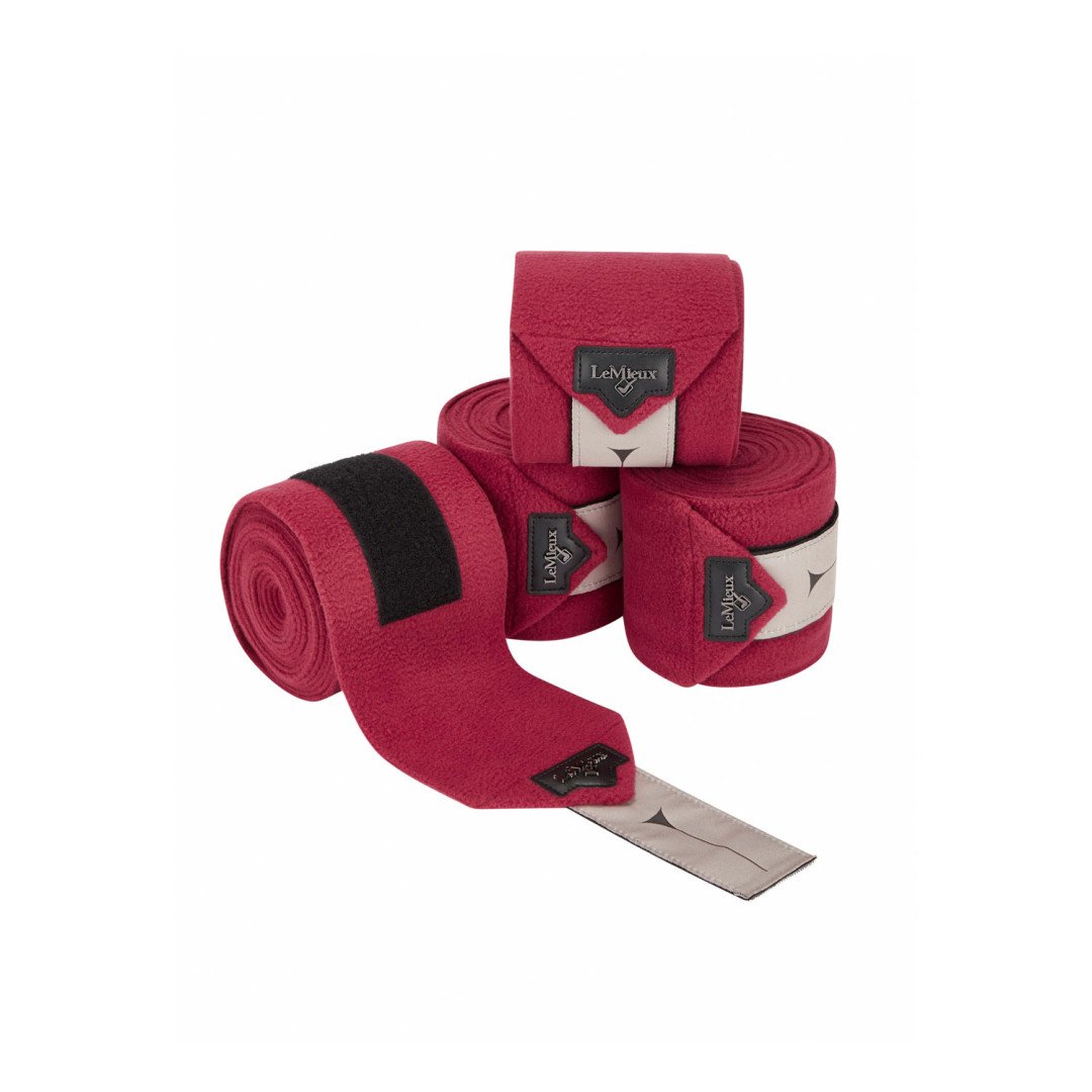 BANDAGENS LOIRE POLO EMBER