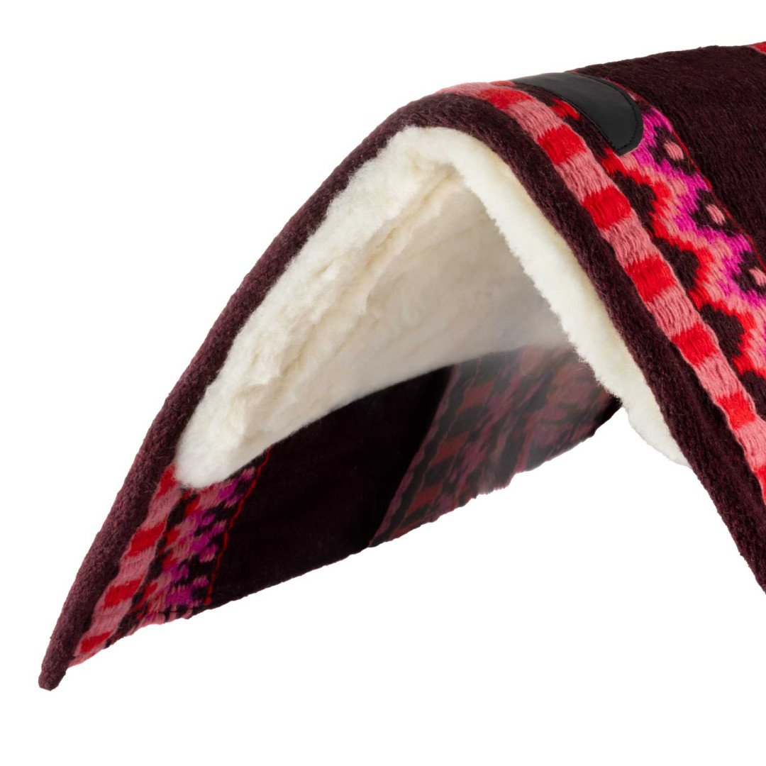 SHOW PERFORMA 2019 Saddlepad