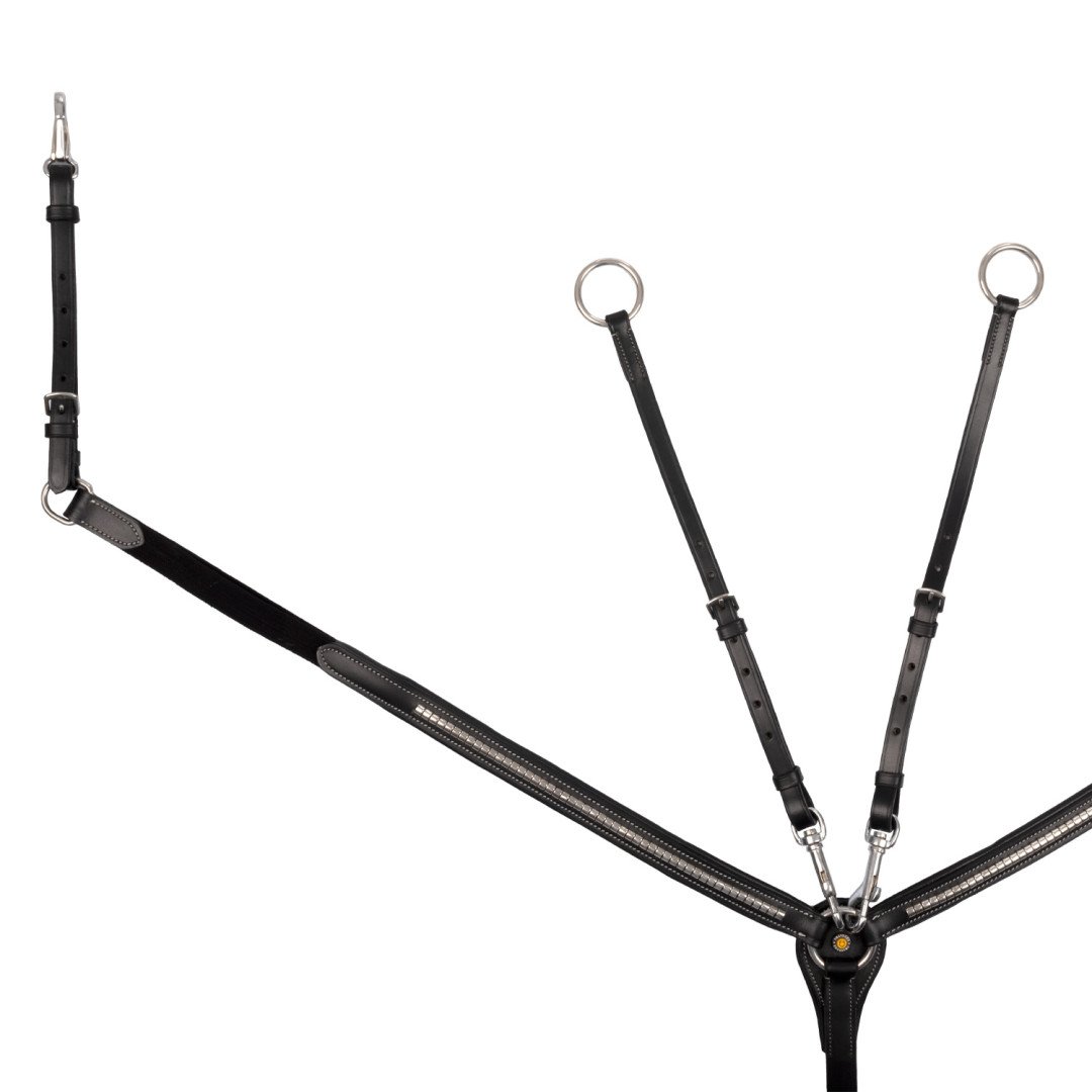 Vorderzeug mit gegerbter martingalgabel ringmartingal und silbernem Klemmring