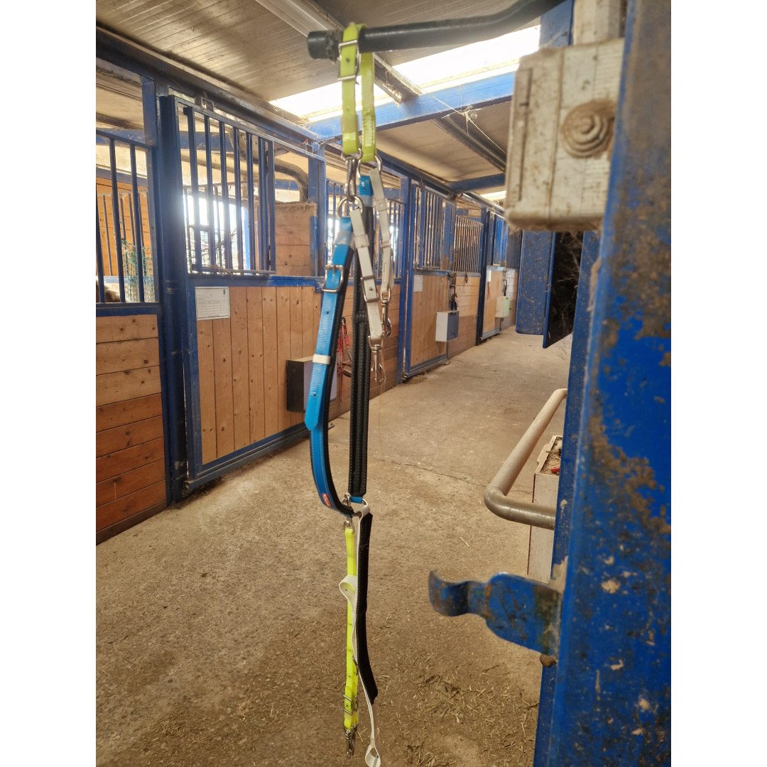 Home KIT COMPLETO BIOTHANE MAURIZIO VENTICINQUE ICARO BU319-YE317 303,28&nbsp;€