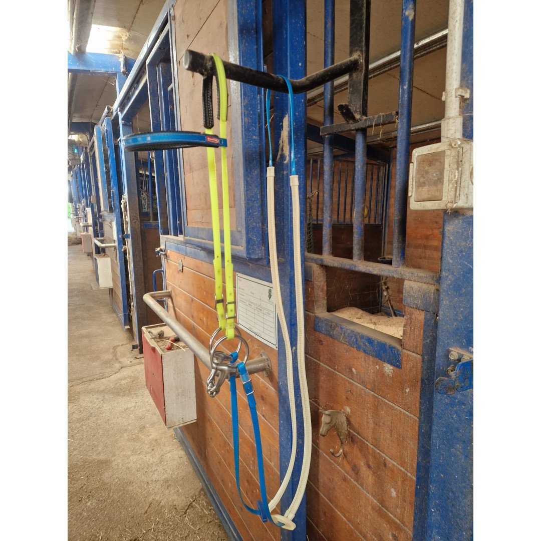 Home KIT COMPLETO BIOTHANE MAURIZIO VENTICINQUE ICARO BU319-YE317 303,28&nbsp;€