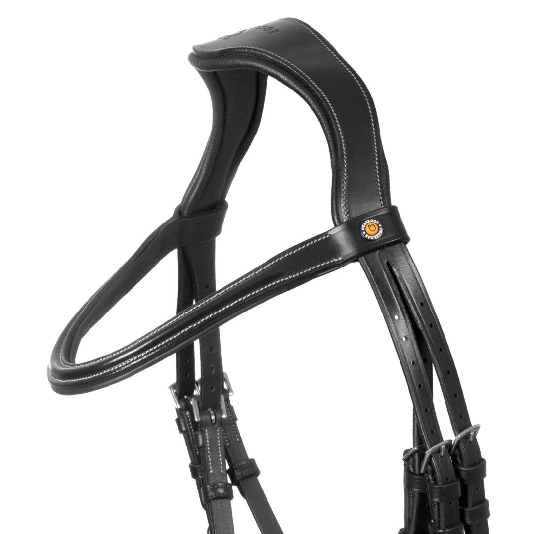 Testiera anatomica con nasalina curva