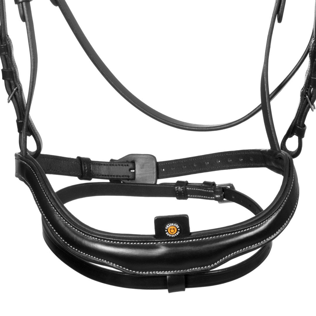 Testiera anatomica con nasalina curva