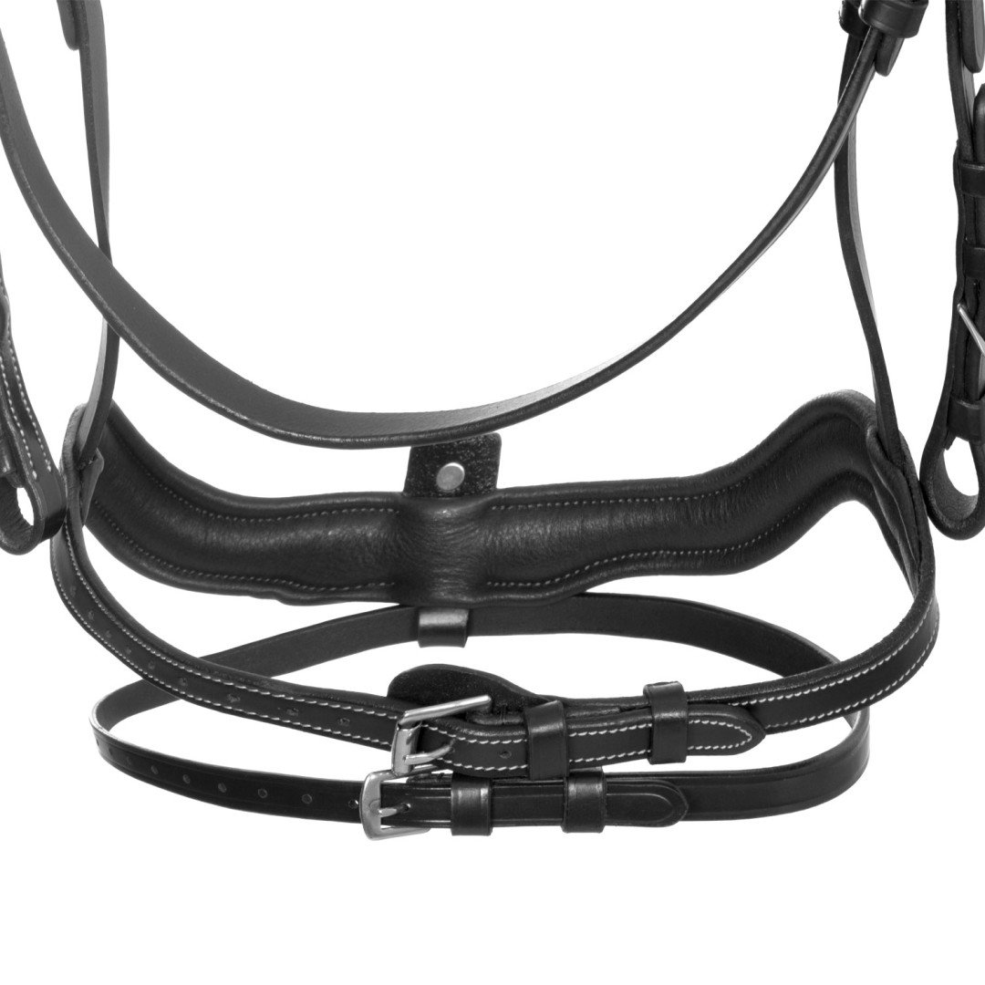 Testiera anatomica con nasalina curva