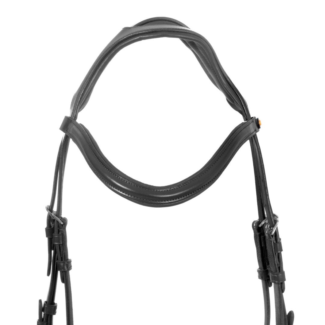 Testiera inglese con capezzina anatomica