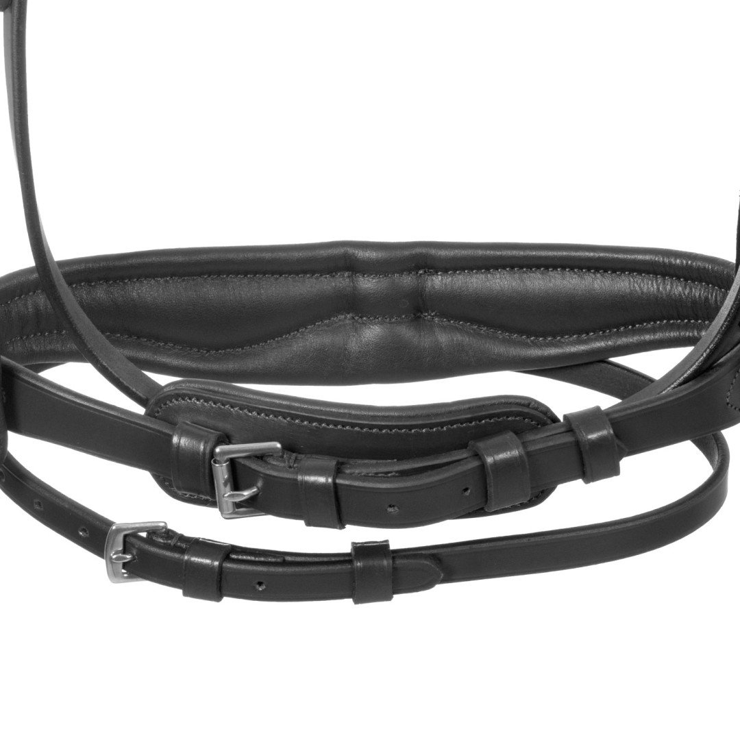 Testiera inglese con capezzina anatomica