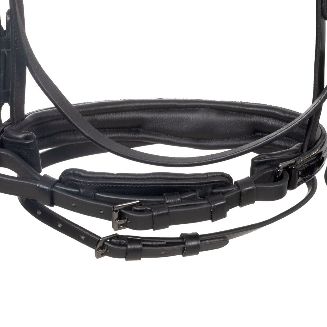 Testiera inglese in cuoio lucido con brillantini