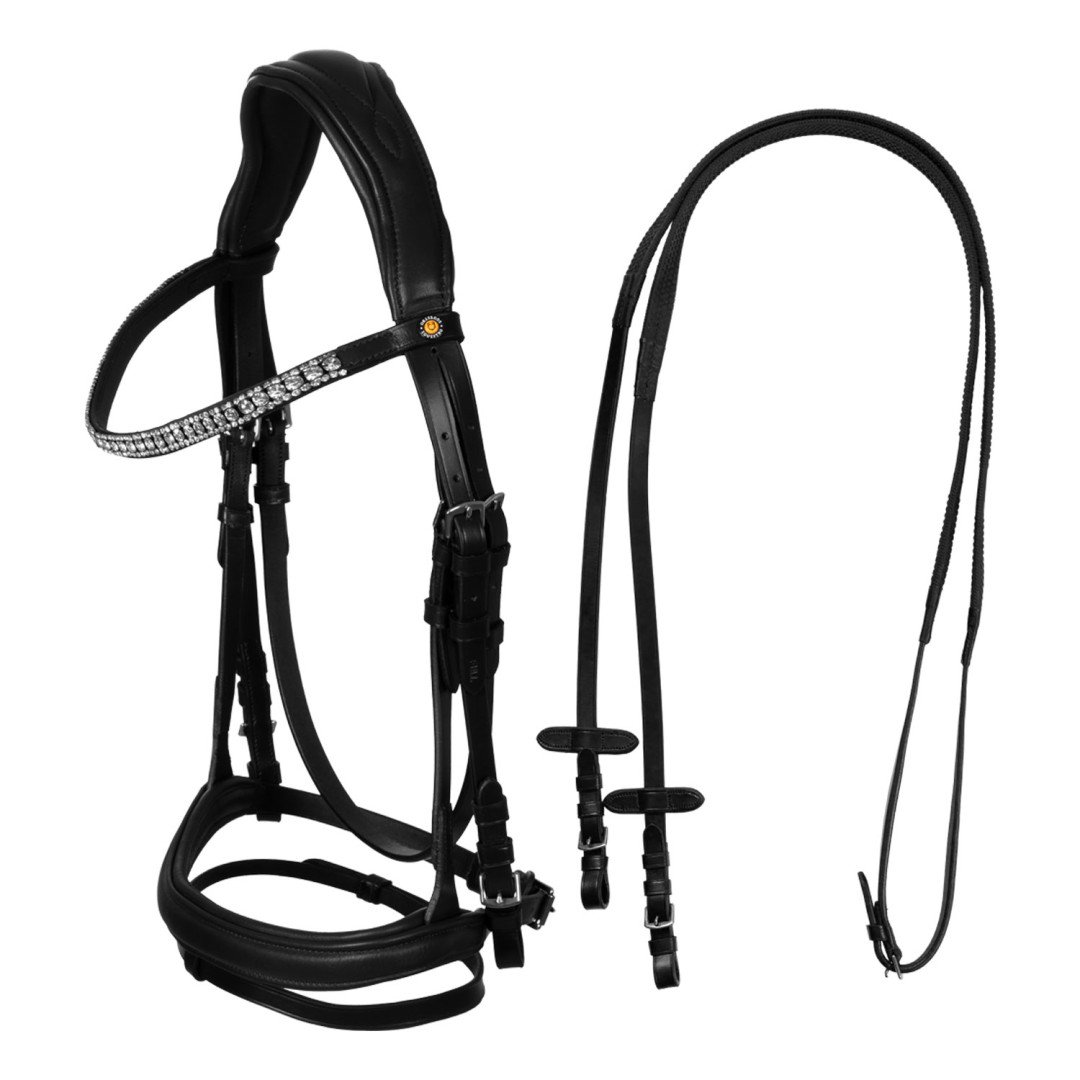 Testiera inglese in cuoio lucido con brillantini