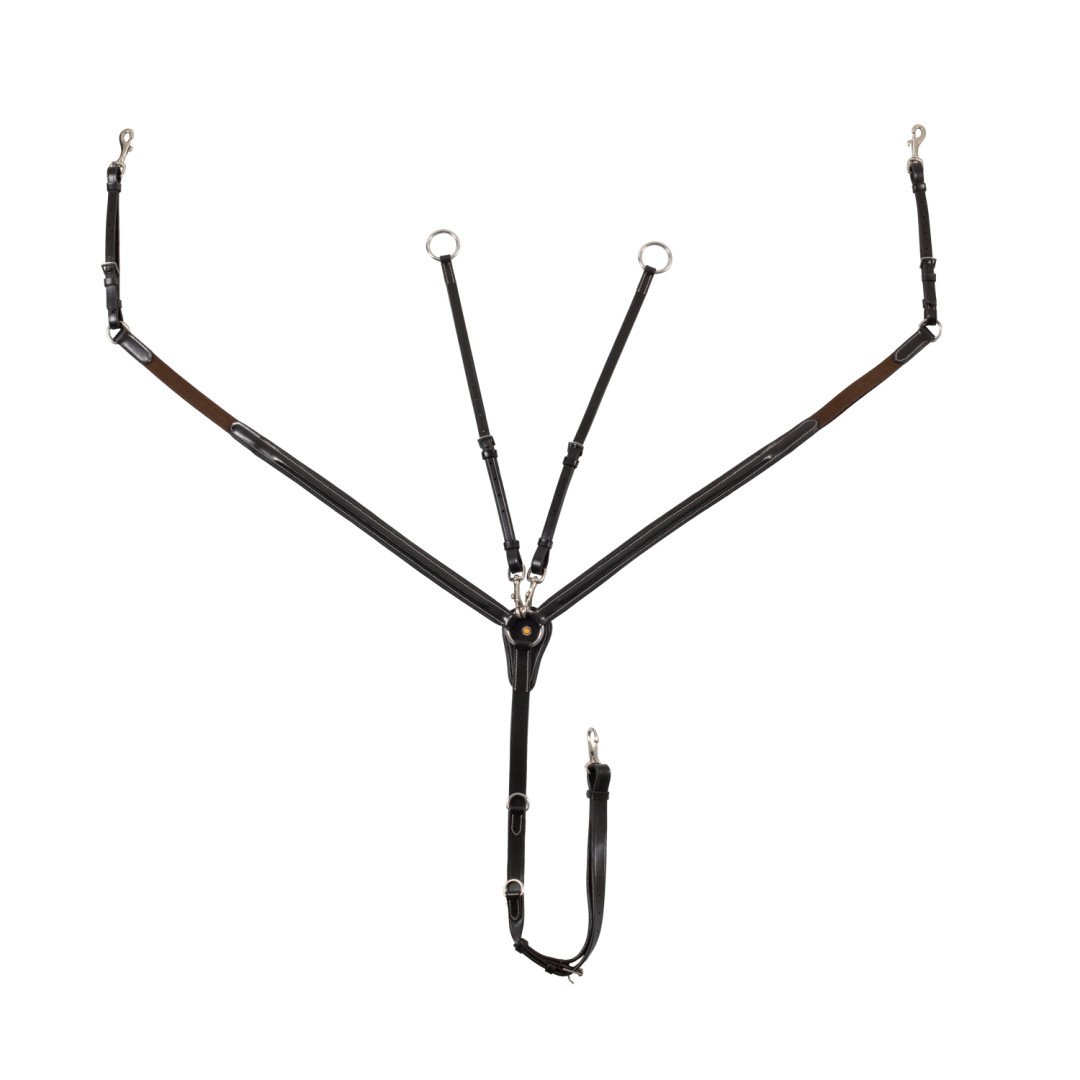 Vorderzeug mit herausnehmbarem gleitendes ringmartingal und elastischen Einsätzen