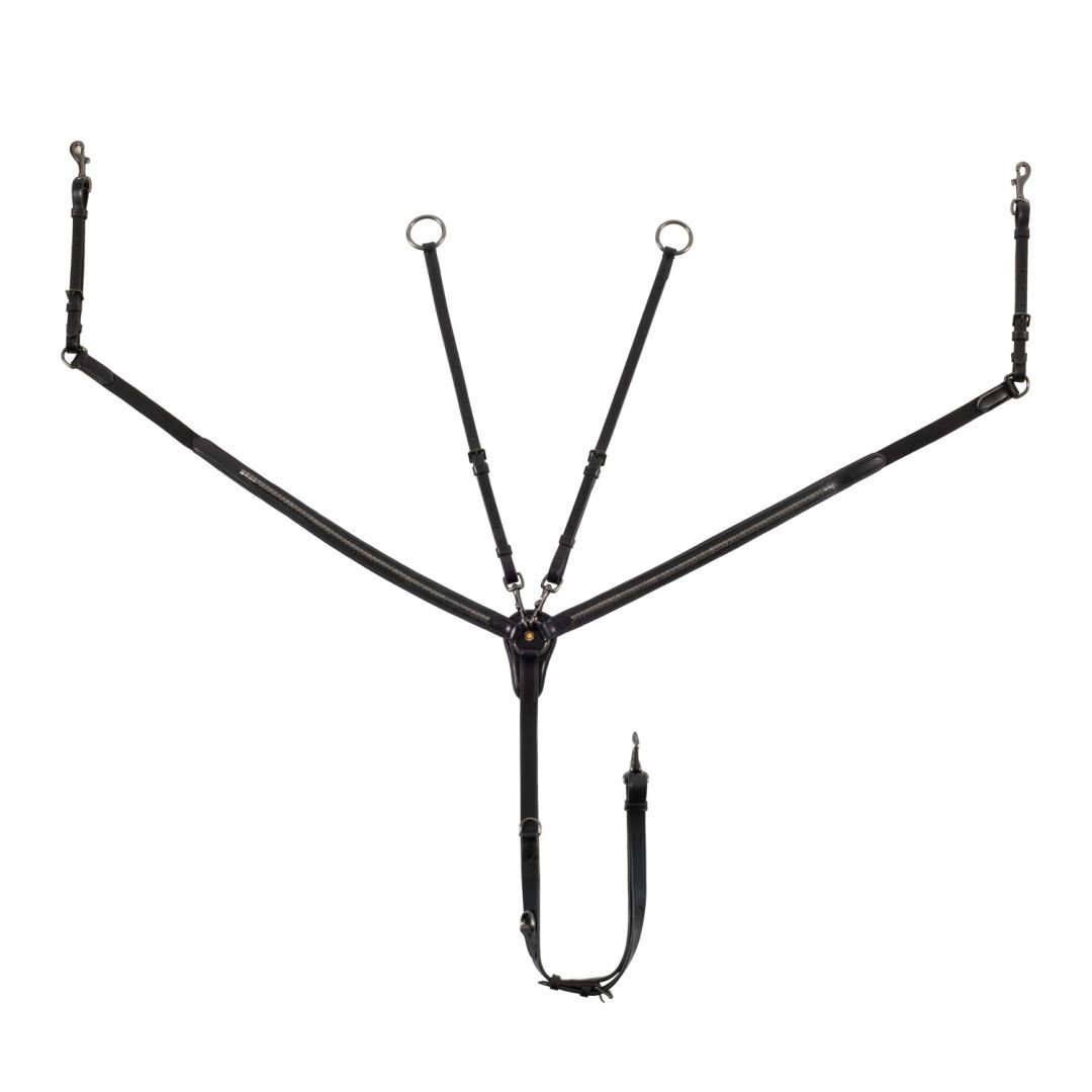 Vorderzeug mit gegerbter martingalgabel ringmartingal und schwarzem Klemmring